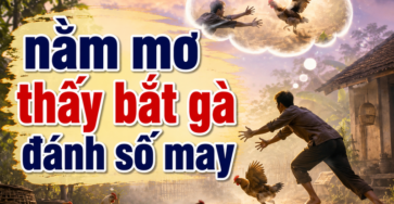 Bảng tổng hợp các trường hợp mơ thấy bắt gà và con số tham khảo theo quan niệm dân gian. 