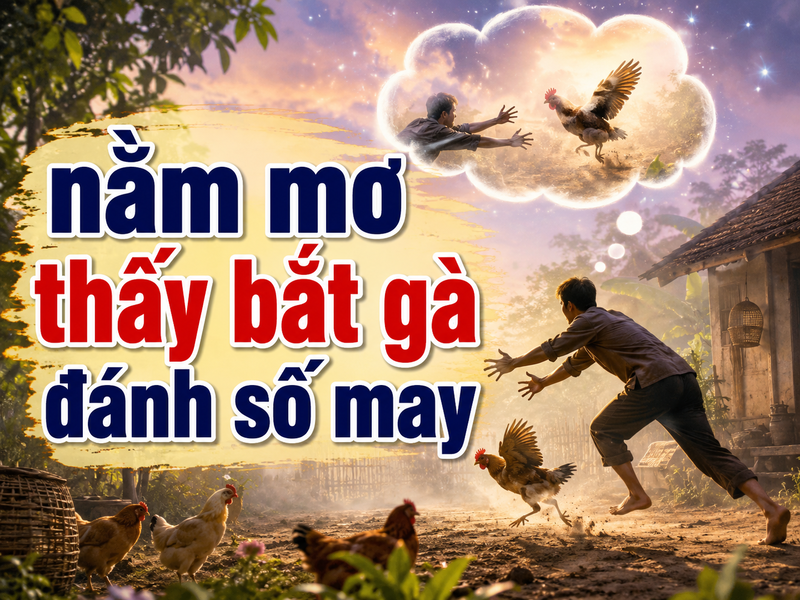 Bảng tổng hợp các trường hợp mơ thấy bắt gà và con số tham khảo theo quan niệm dân gian. 