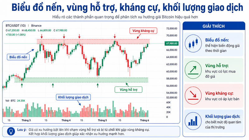 Đọc biểu đồ Bitcoin giúp nhà đầu tư nhận diện xu hướng, vùng hỗ trợ và kháng cự cơ bản. 