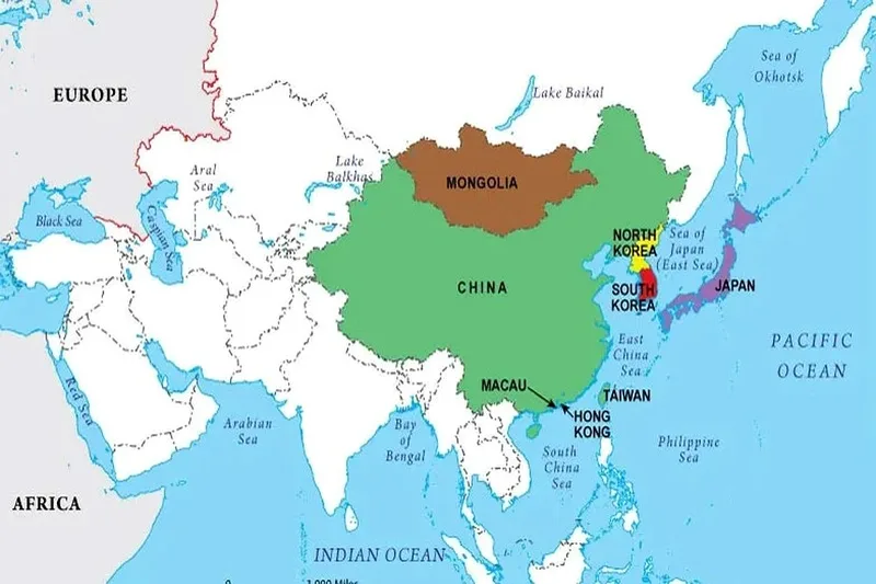 Đông Á gồm nhiều nền kinh tế lớn và các quốc gia có ảnh hưởng mạnh tại khu vực châu Á - Thái Bình Dương.