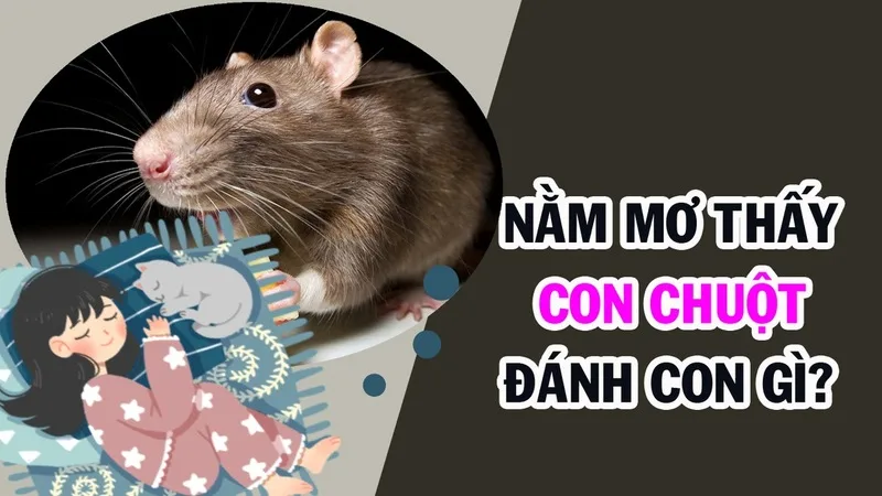 Hình ảnh chuột trong giấc mơ được dân gian liên hệ với sự nhanh nhạy, lo lắng hoặc cơ hội nhỏ.